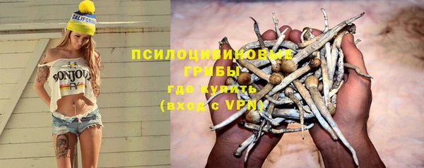 MESCALINE Баксан
