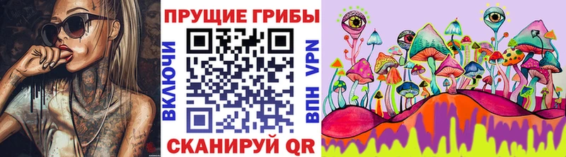 Псилоцибиновые грибы GOLDEN TEACHER  Карачев 